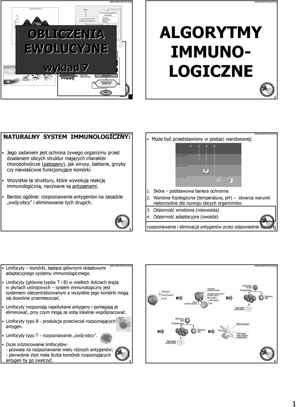 COMPUTATION with other SELECTION sugenrations YES TERMINATION CONDITION NO ALGORYTMY IMMUNO- LOGICZNE END 1 2 NATURALNY SYSTEM IMMUNOLOGICZNY: Może yć przedstawiony w postaci warstwowej: Jego