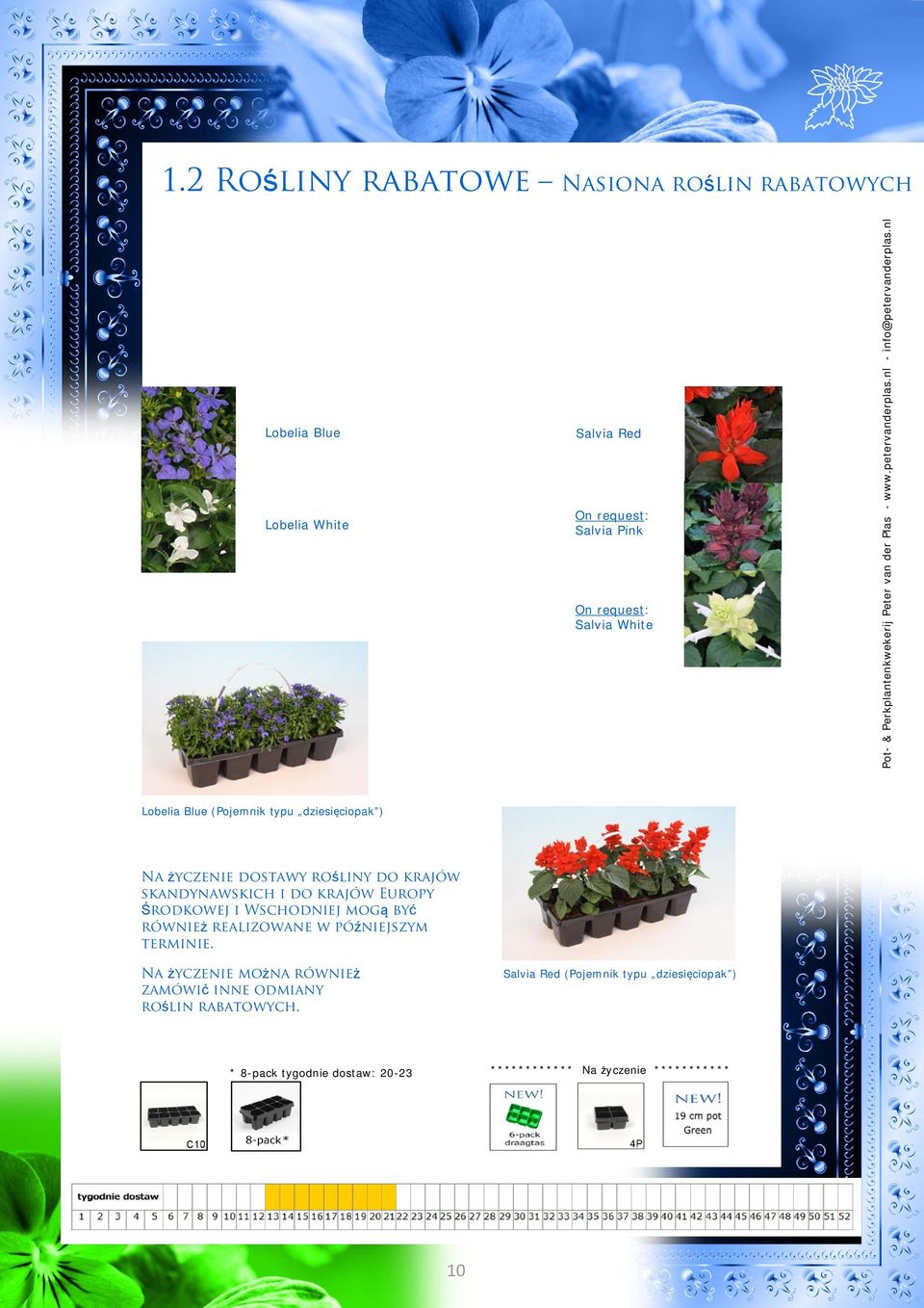 nl Lobelia Blue (Pojemnik typu dziesięciopak ) Na życzenie dostawy rośliny do krajów skandynawskich i do krajów Europy Środkowej i Wschodniej mogą być