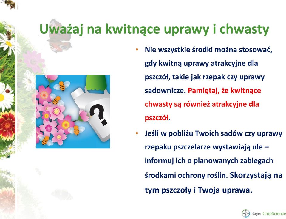 Pamiętaj, że kwitnące chwasty są również atrakcyjne dla pszczół.