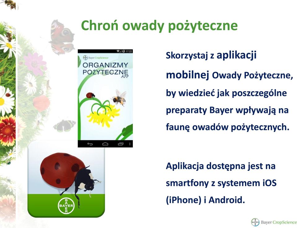 Bayer wpływają na faunę owadów pożytecznych.