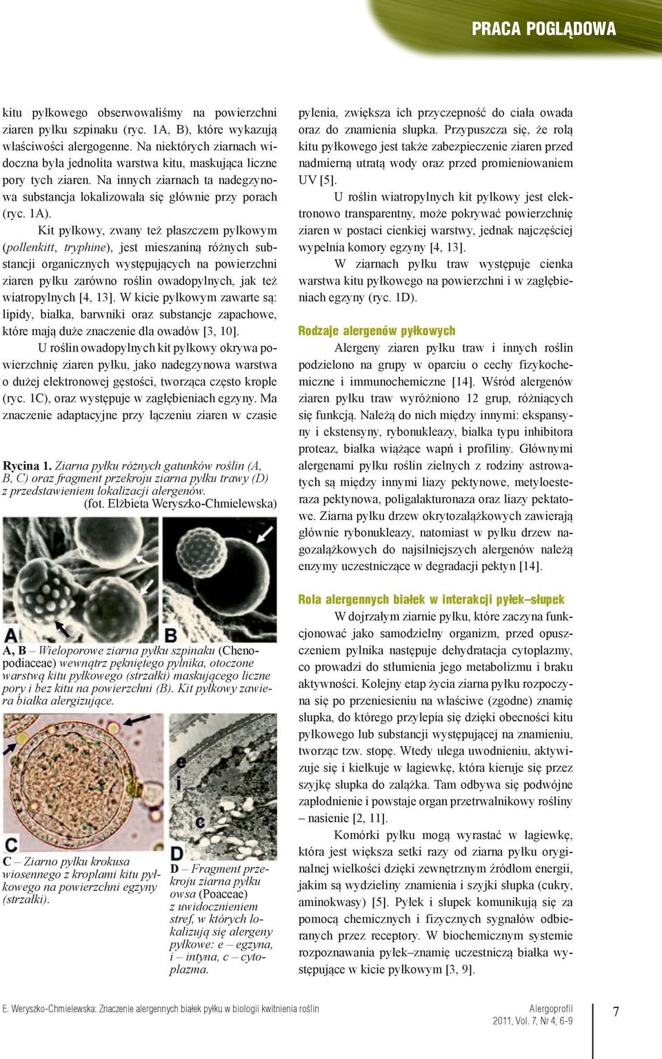Kit pyłkowy, zwany też płaszczem pyłkowym (pollenkitt, tryphine), jest mieszaniną różnych substancji organicznych występujących na powierzchni ziaren pyłku zarówno roślin owadopylnych, jak też