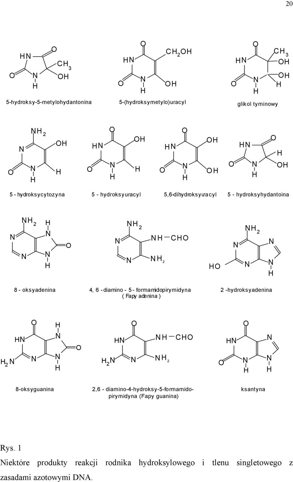 formamidopirymidyna 2 -hydroksyadenina ( Fapy adenina ) 2 2 2 C 8-oksyguanina 2,6 - diamino-4-hydroksy-5-formamido-