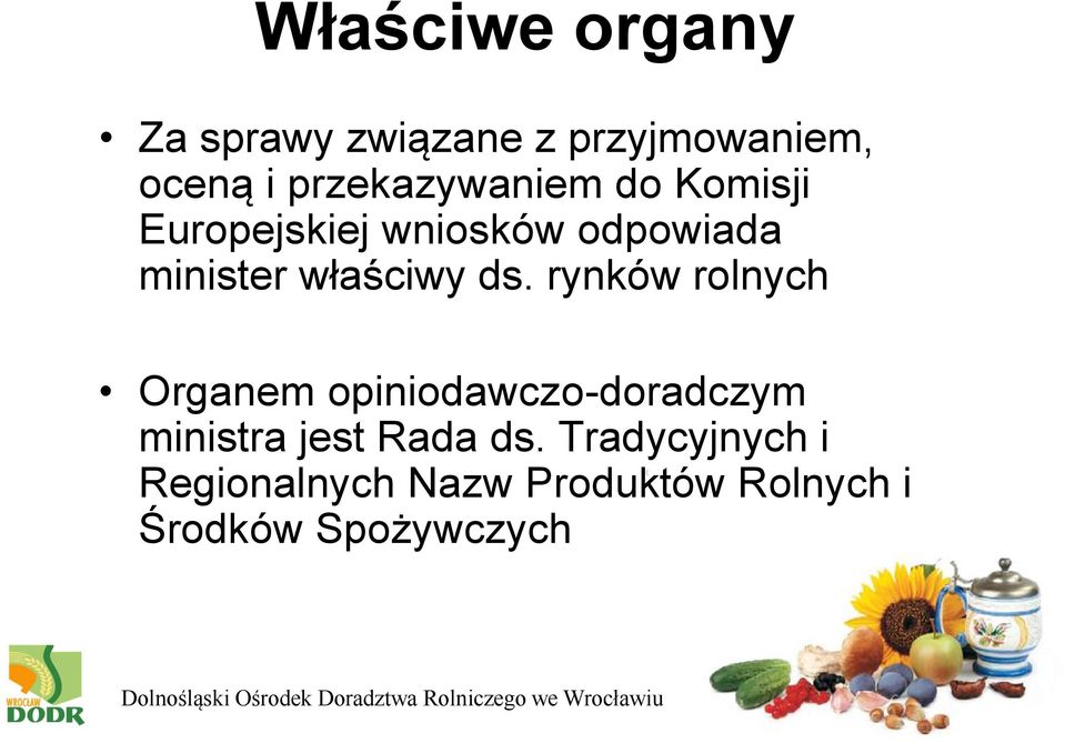 właściwy ds.