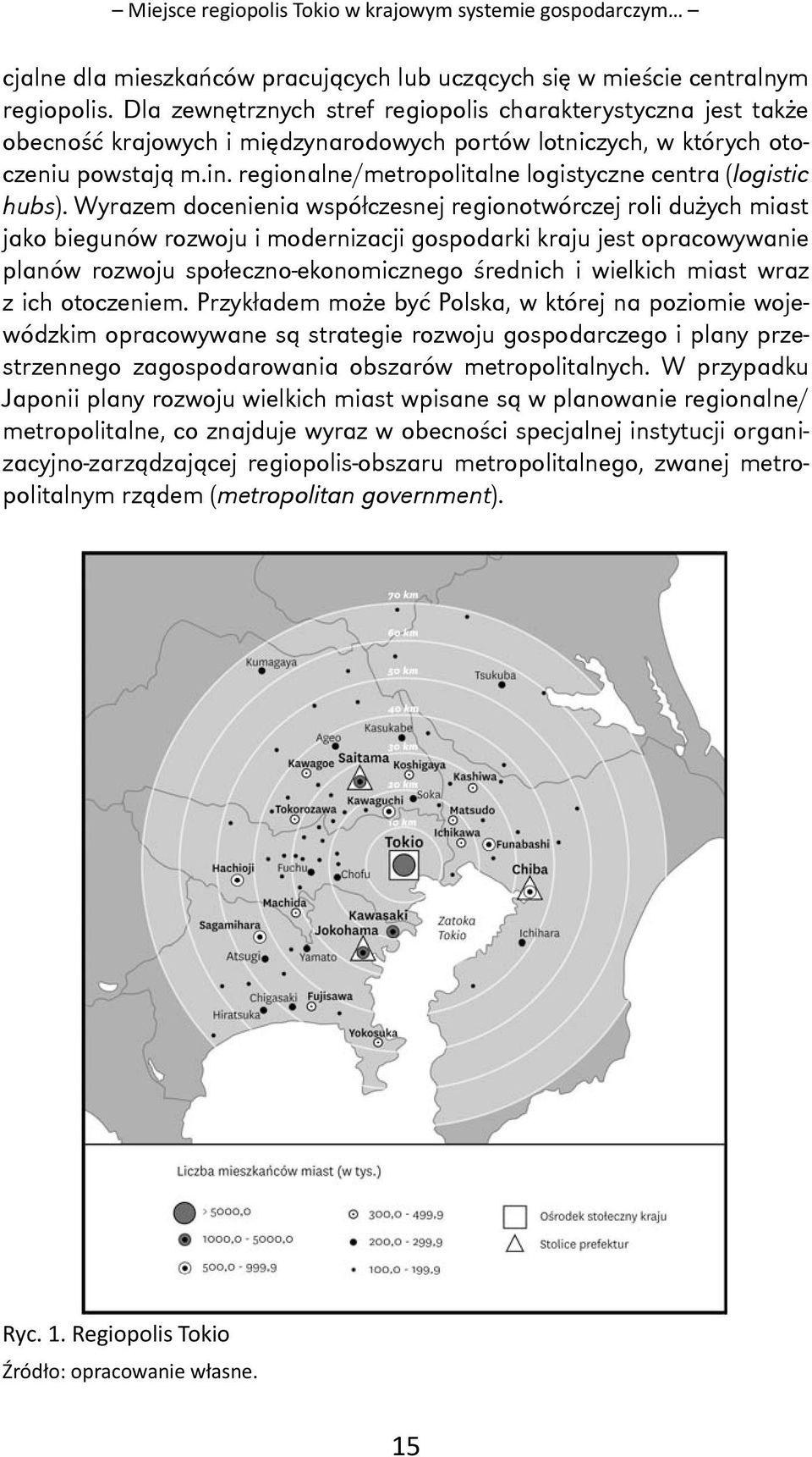 regionalne/metropolitalne logistyczne centra (logistic hubs).