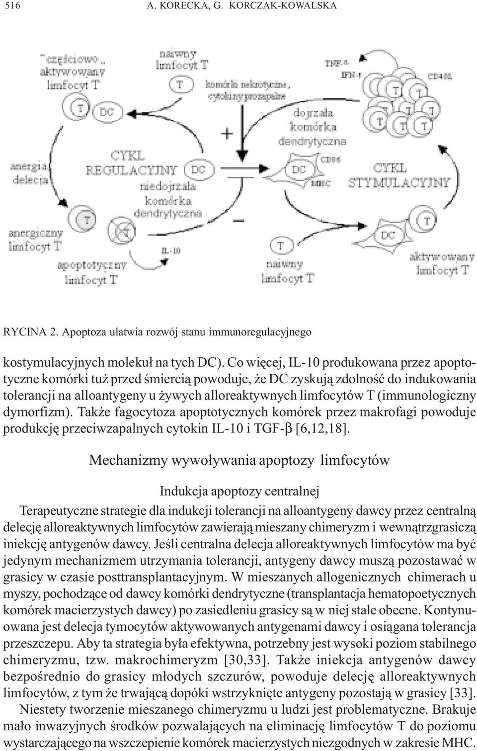 (immunologiczny dymorfizm). Tak e fagocytoza apoptotycznych komórek przez makrofagi powoduje produkcjê przeciwzapalnych cytokin IL-10 i TGF-β [6,12,18].