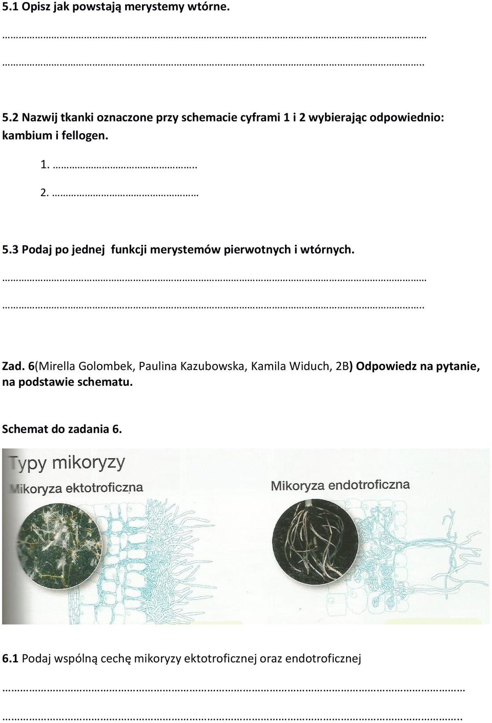 3 Podaj po jednej funkcji merystemów pierwotnych i wtórnych. Zad.