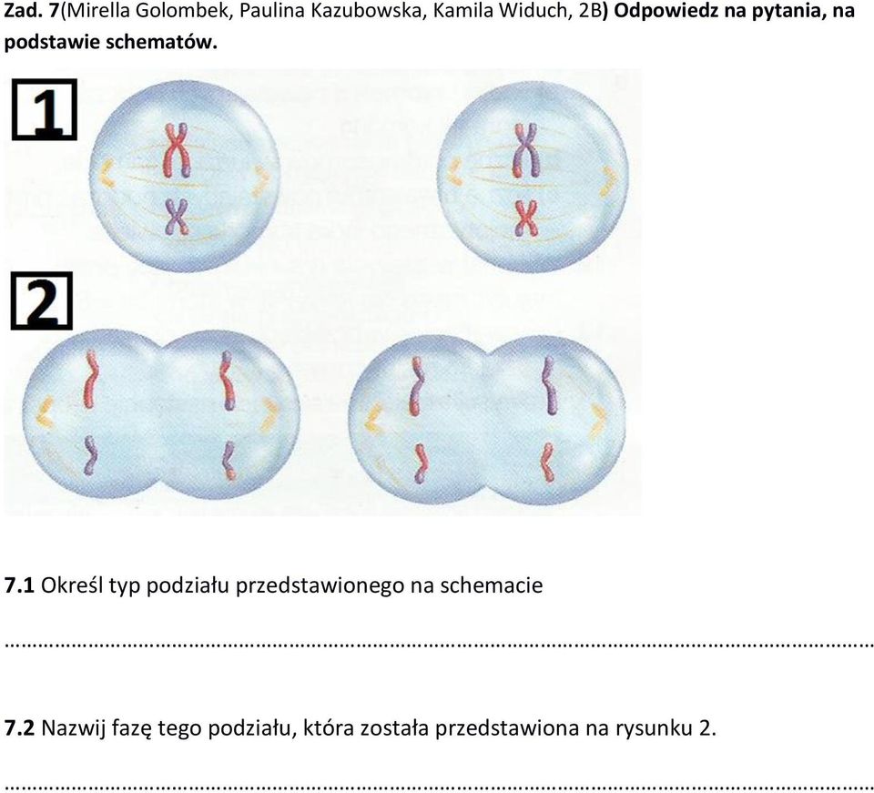 7.1 Określ typ podziału przedstawionego na schemacie 7.