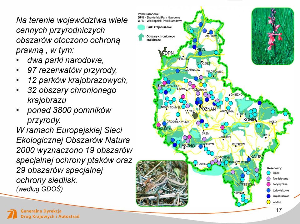 ponad 3800 pomników przyrody.