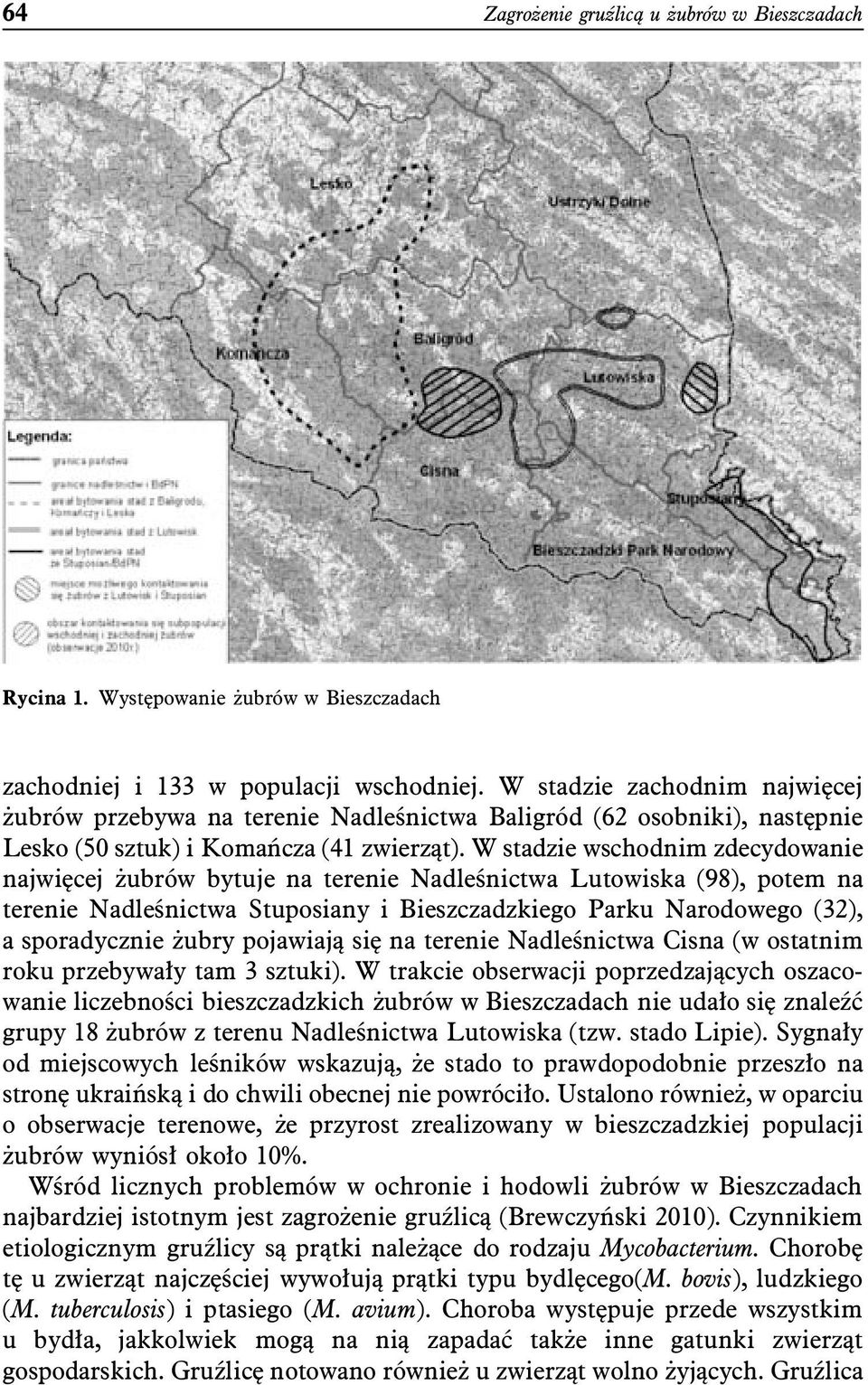 W stadzie wschodnim zdecydowanie najwięcej żubrów bytuje na terenie Nadleśnictwa Lutowiska (98), potem na terenie Nadleśnictwa Stuposiany i Bieszczadzkiego Parku Narodowego (32), a sporadycznie żubry