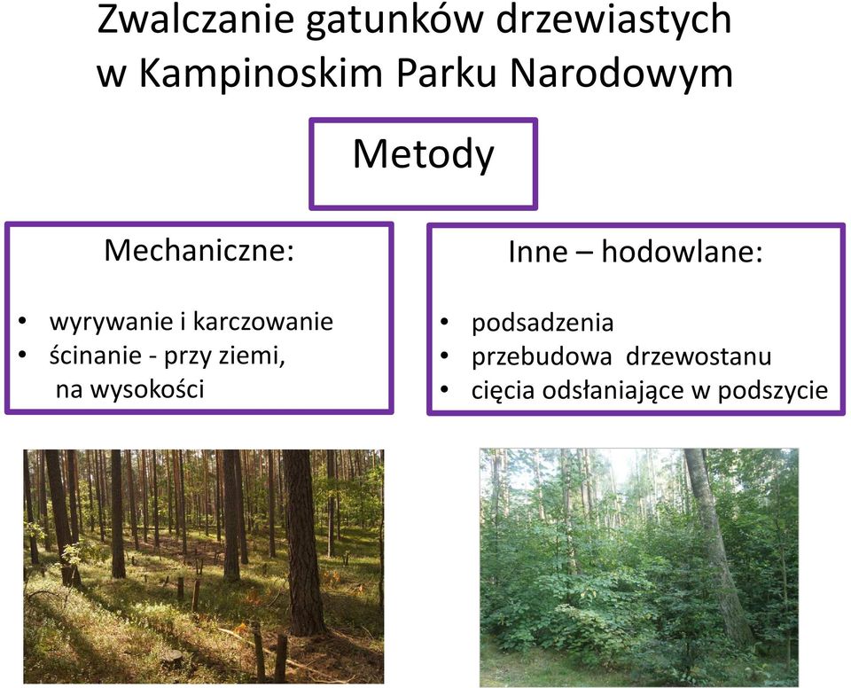 ścinanie -przy ziemi, na wysokości Inne hodowlane: