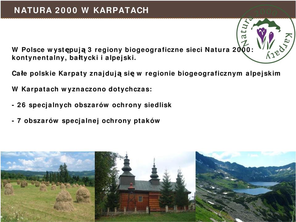 Całe polskie Karpaty znajdują się w regionie biogeograficznym alpejskim W