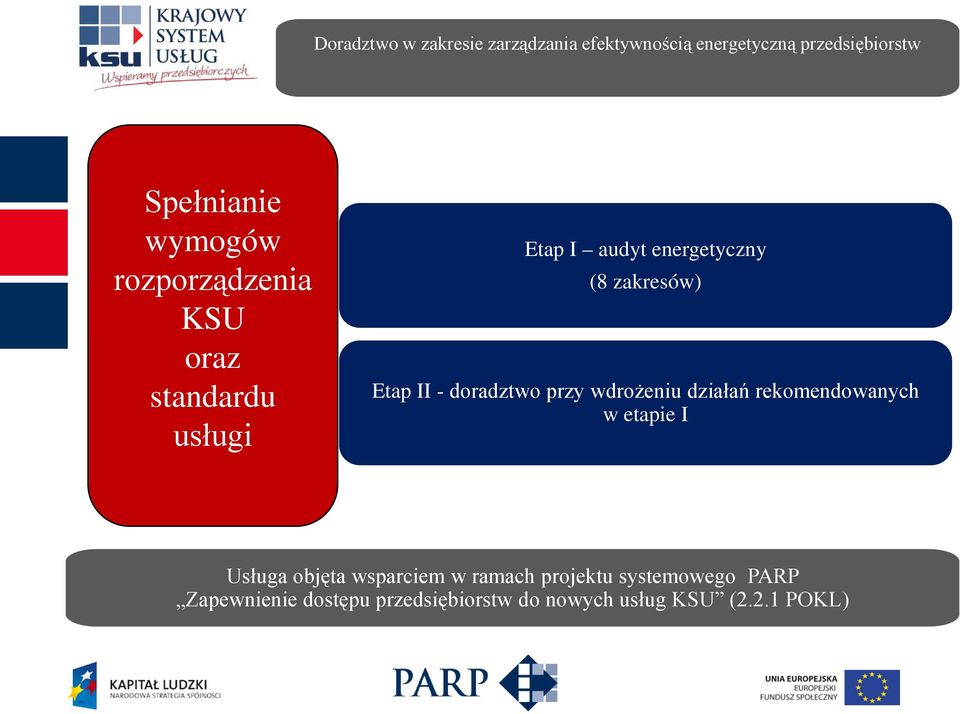 II - doradztwo przy wdrożeniu działań rekomendowanych w etapie I Usługa objęta wsparciem w