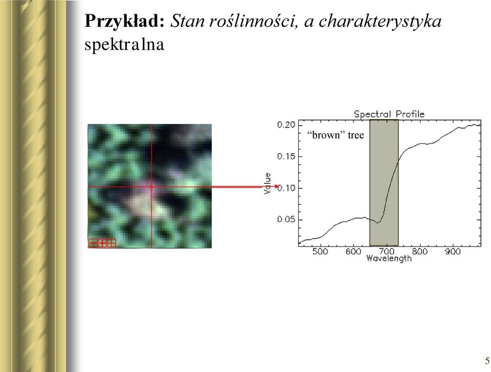 charakterystyka