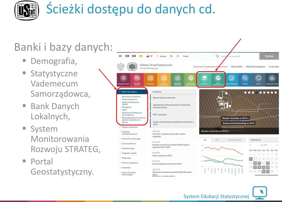 Bank Danych Lokalnych, System