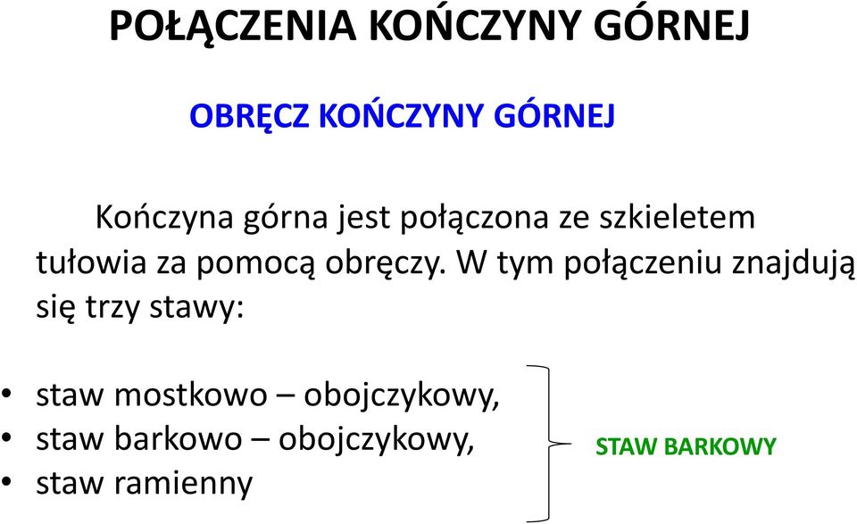 W tym połączeniu znajdują się trzy stawy: staw mostkowo