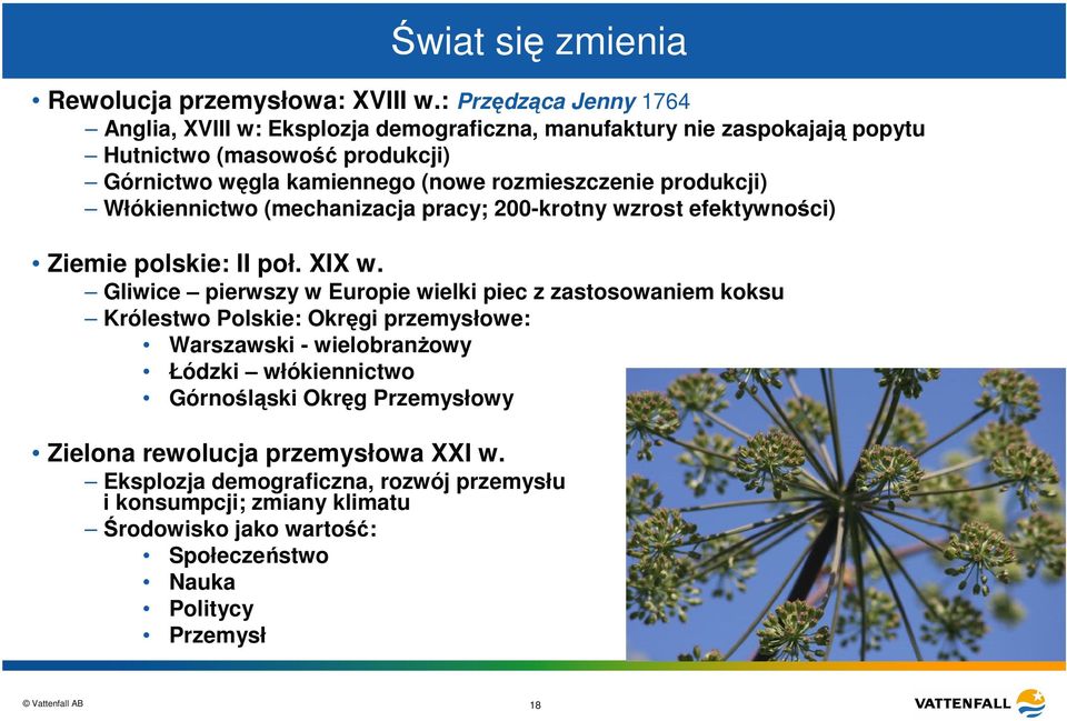 rozmieszczenie produkcji) Włókiennictwo (mechanizacja pracy; 200-krotny wzrost efektywności) Ziemie polskie: II poł. XIX w.