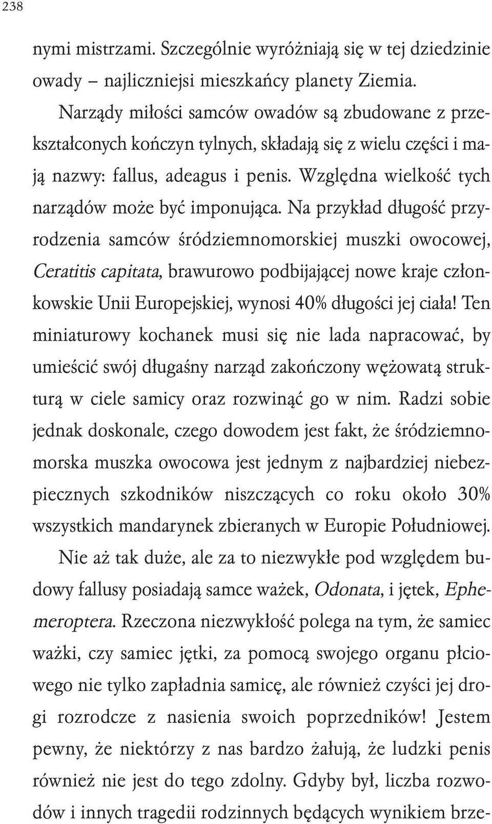 Na przykład długość przyrodzenia samców śródziemnomorskiej muszki owocowej, Ceratitis capitata, brawurowo podbijającej nowe kraje członkowskie Unii Europejskiej, wynosi 40% długości jej ciała!