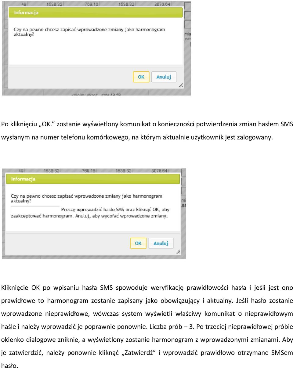 Jeśli hasło zostanie wprowadzone nieprawidłowe, wówczas system wyświetli właściwy komunikat o nieprawidłowym haśle i należy wprowadzić je poprawnie ponownie. Liczba prób 3.