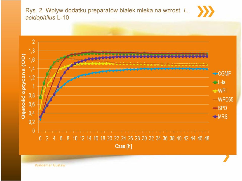 preparatów białek