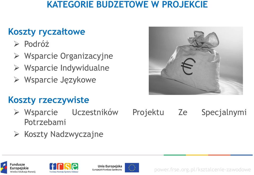 Wsparcie Językowe Koszty rzeczywiste Wsparcie