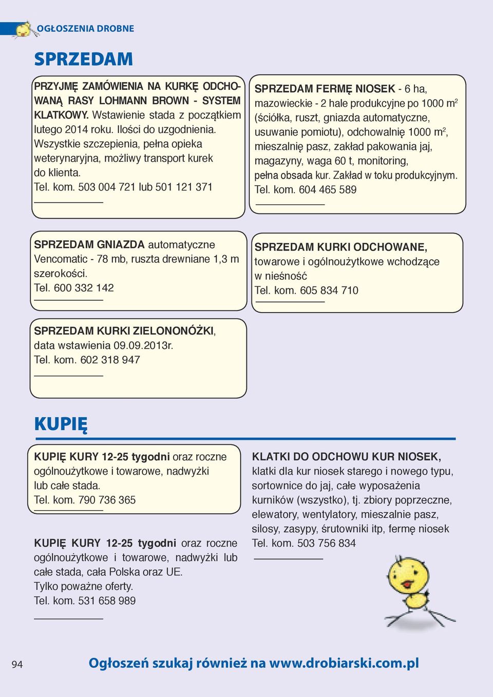 503 004 721 lub 501 121 371 FERMĘ NIOSEK - 6 ha, mazowieckie - 2 hale produkcyjne po 1000 m 2 (ściółka, ruszt, gniazda automatyczne, usuwanie pomiotu), odchowalnię 1000 m 2, mieszalnię pasz, zakład