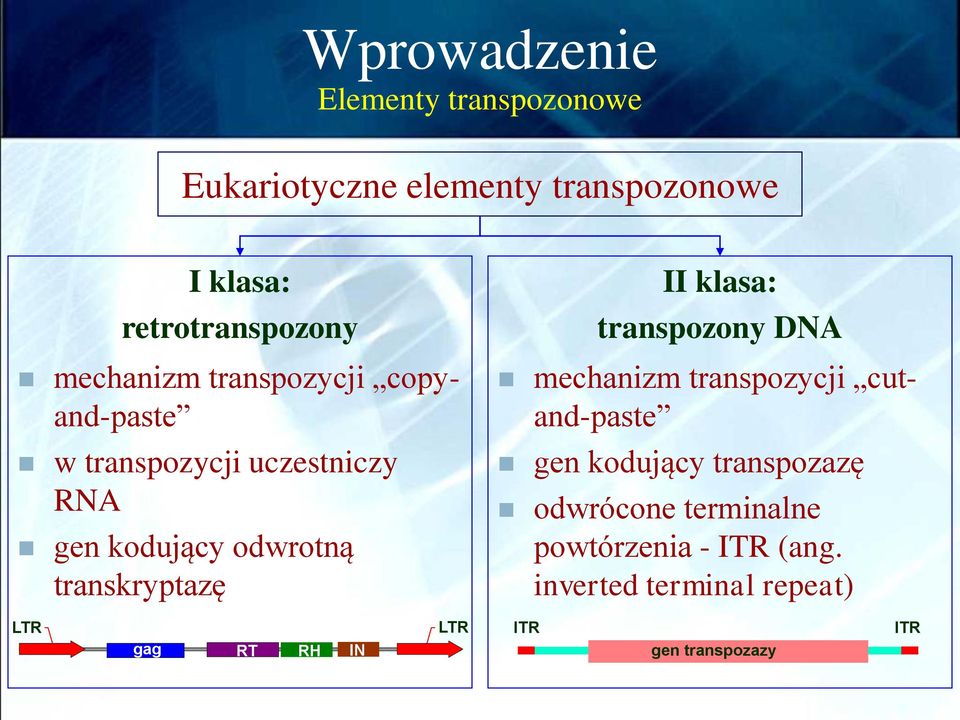 transkryptazę II klasa: transpozony DNA mechanizm transpozycji cutand-paste gen kodujący transpozazę