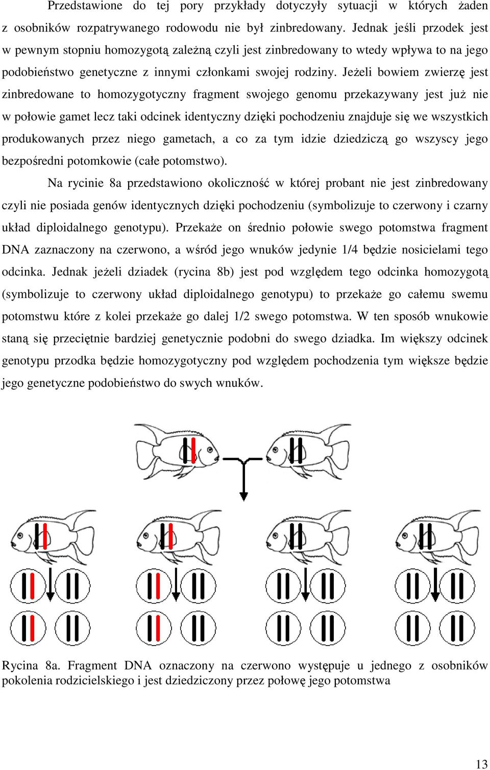 Jeżeli bowiem zwierzę jest zinbredowane to homozygotyczny fragment swojego genomu przekazywany jest już nie w połowie gamet lecz taki odcinek identyczny dzięki pochodzeniu znajduje się we wszystkich