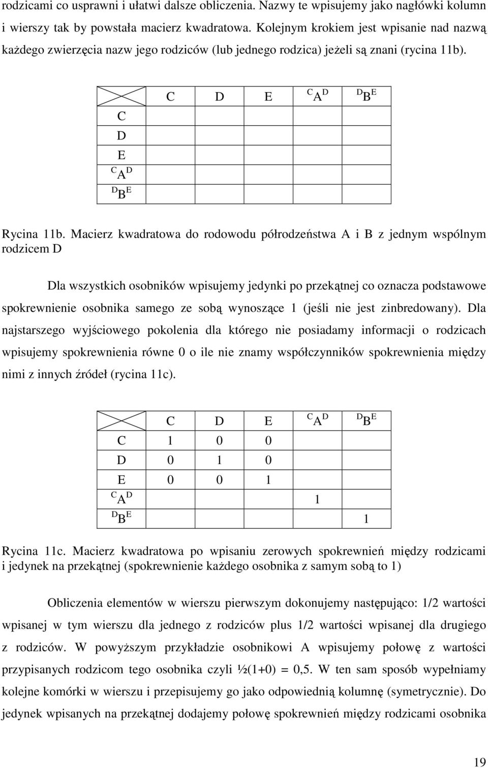 Macierz kwadratowa do rodowodu półrodzeństwa A i B z jednym wspólnym rodzicem D Dla wszystkich osobników wpisujemy jedynki po przekątnej co oznacza podstawowe spokrewnienie osobnika samego ze sobą