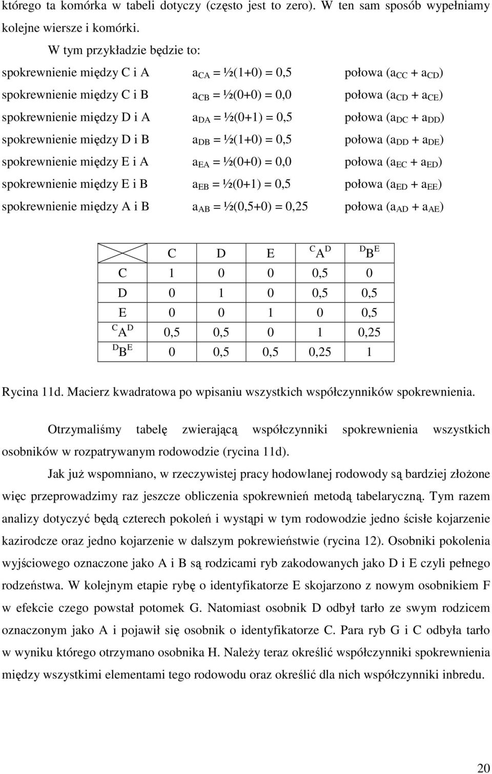 = ½(0+1) = 0,5 połowa (a DC + a DD ) spokrewnienie między D i B a DB = ½(1+0) = 0,5 połowa (a DD + a DE ) spokrewnienie między E i A a EA = ½(0+0) = 0,0 połowa (a EC + a ED ) spokrewnienie między E i