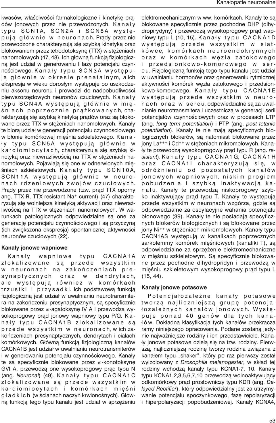 Ich główną funkcją fizjologiczną jest udział w generowaniu I fazy potencjału czynnościowego.