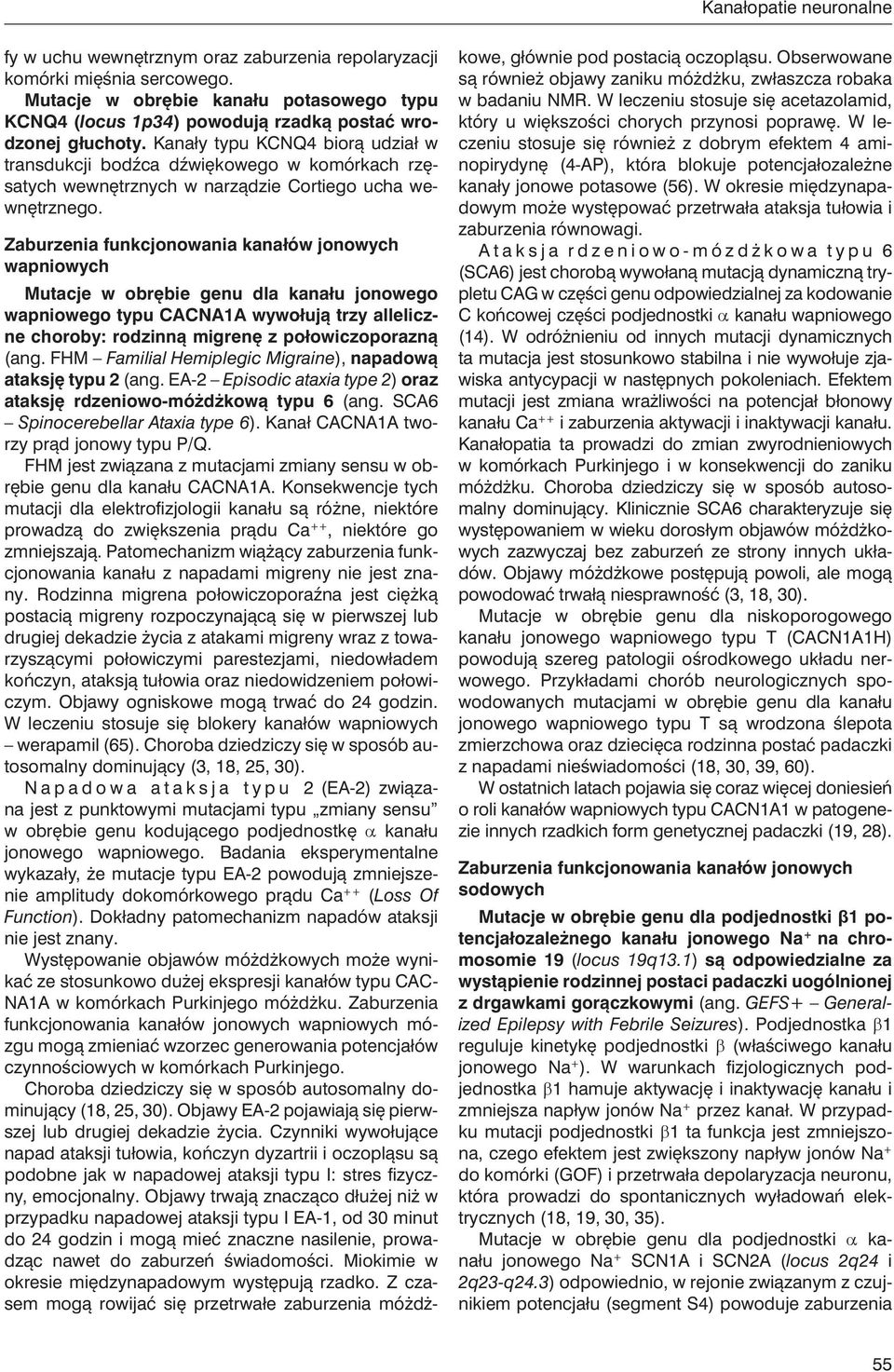Kanały typu KCNQ4 biorą udział w transdukcji bodźca dźwiękowego w komórkach rzęsatych wewnętrznych w narządzie Cortiego ucha wewnętrznego.