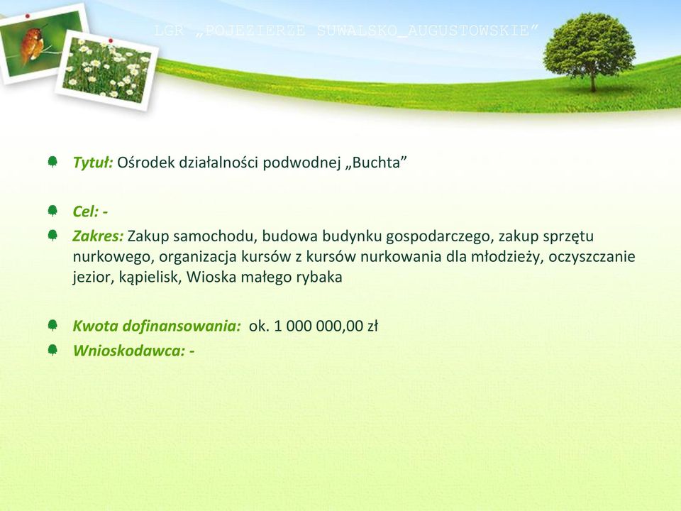 nurkowego, organizacja kursów z kursów nurkowania dla młodzieży, oczyszczanie