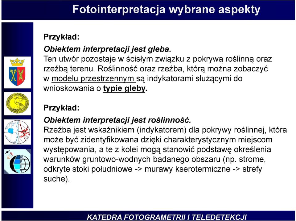 Przykład: Obiektem interpretacji jest roślinność.