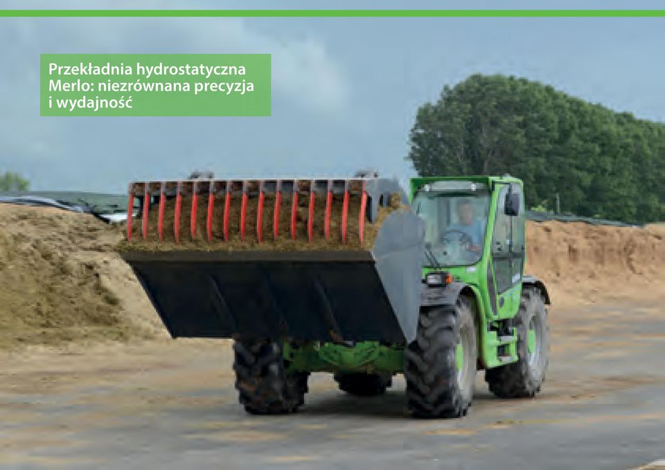 Merlo: