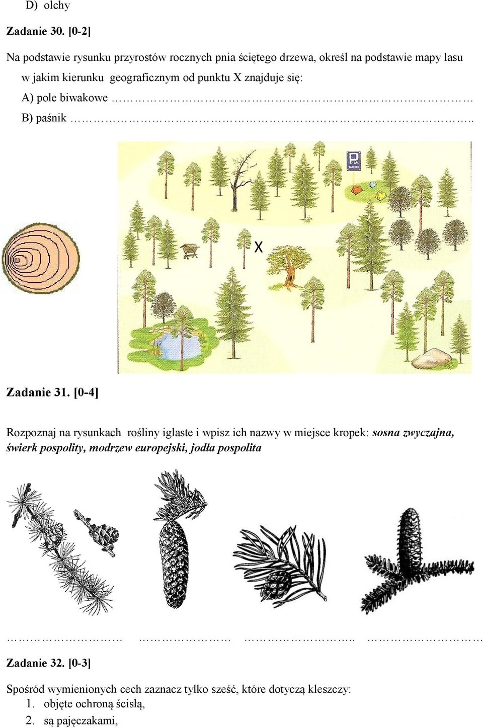 geograficznym od punktu X znajduje się: A) pole biwakowe B) paśnik.. X Zadanie 31.