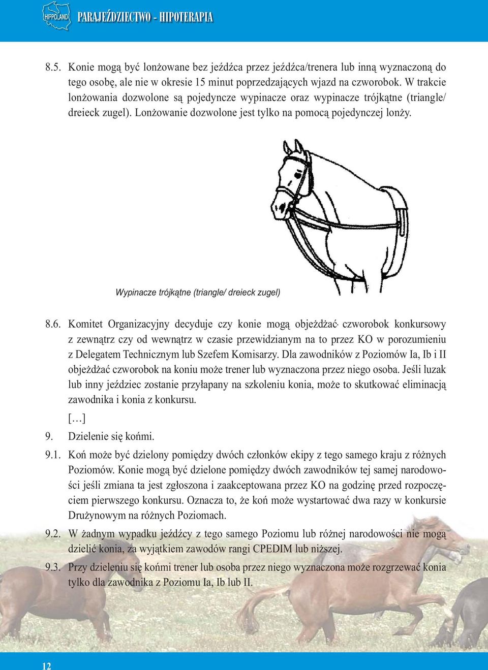 Wypinacze trójkątne (triangle/ dreieck zugel) 8.6.