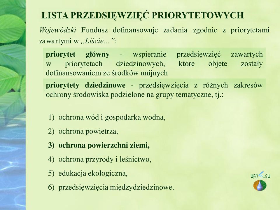 dziedzinowe - przedsięwzięcia z różnych zakresów ochrony środowiska podzielone na grupy tematyczne, tj.