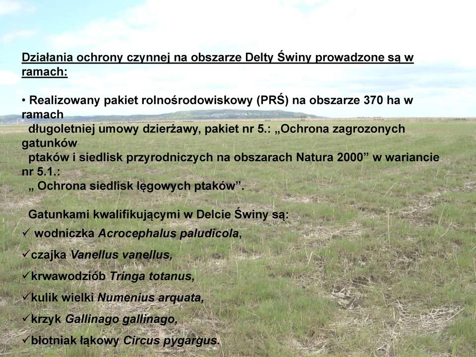 : Ochrona zagrozonych gatunków ptaków i siedlisk przyrodniczych na obszarach Natura 2000 w wariancie nr 5.1.