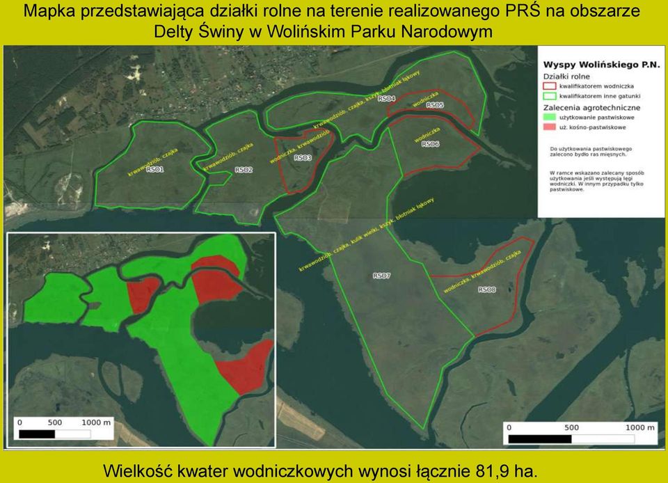 Delty Świny w Wolińskim Parku Narodowym