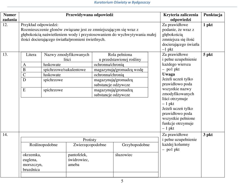 Rola pełniona u przedstawionej rośliny A łuskowate ochronna/chronią B spichrzowe/sukulentowe magazynują/gromadzą wodę C łuskowate ochronna/chronią D spichrzowe magazynują/gromadzą substancje odżywcze