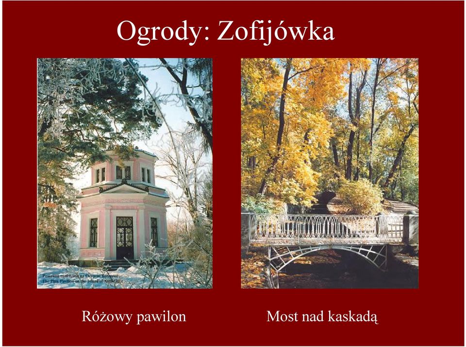 Różowy