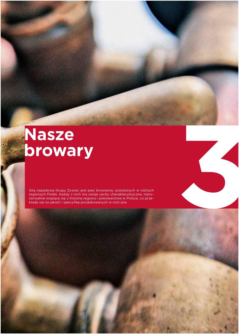Każdy z nich ma swoje cechy charakterystyczne, nierozerwalnie wiążące