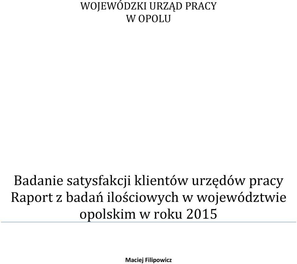Raport z badań ilościowych w