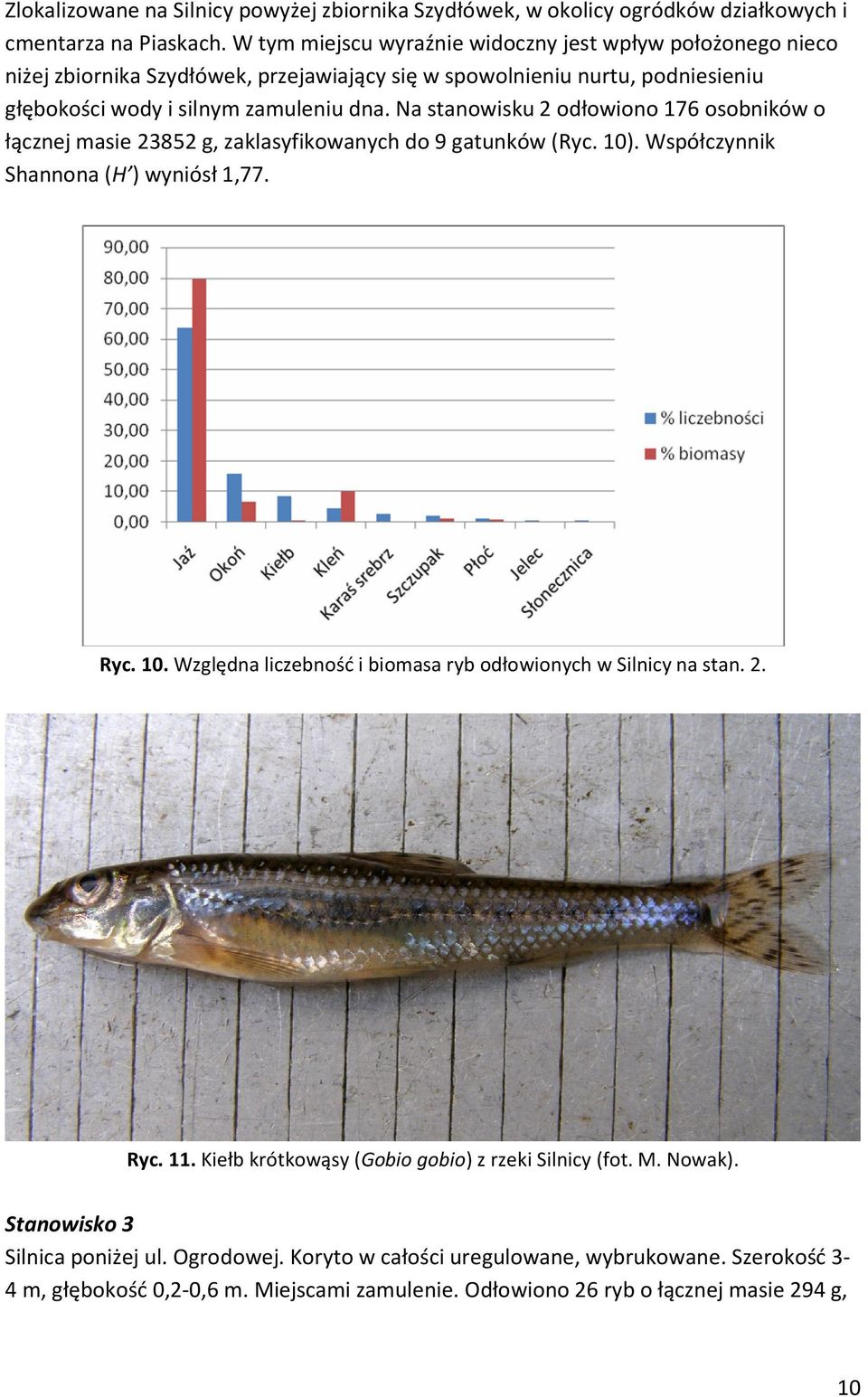 Na stanowisku 2 odłowiono 176 osobników o łącznej masie 23852 g, zaklasyfikowanych do 9 gatunków (Ryc. 10). Współczynnik Shannona (H ) wyniósł 1,77. Ryc. 10. Względna liczebność i biomasa ryb odłowionych w Silnicy na stan.