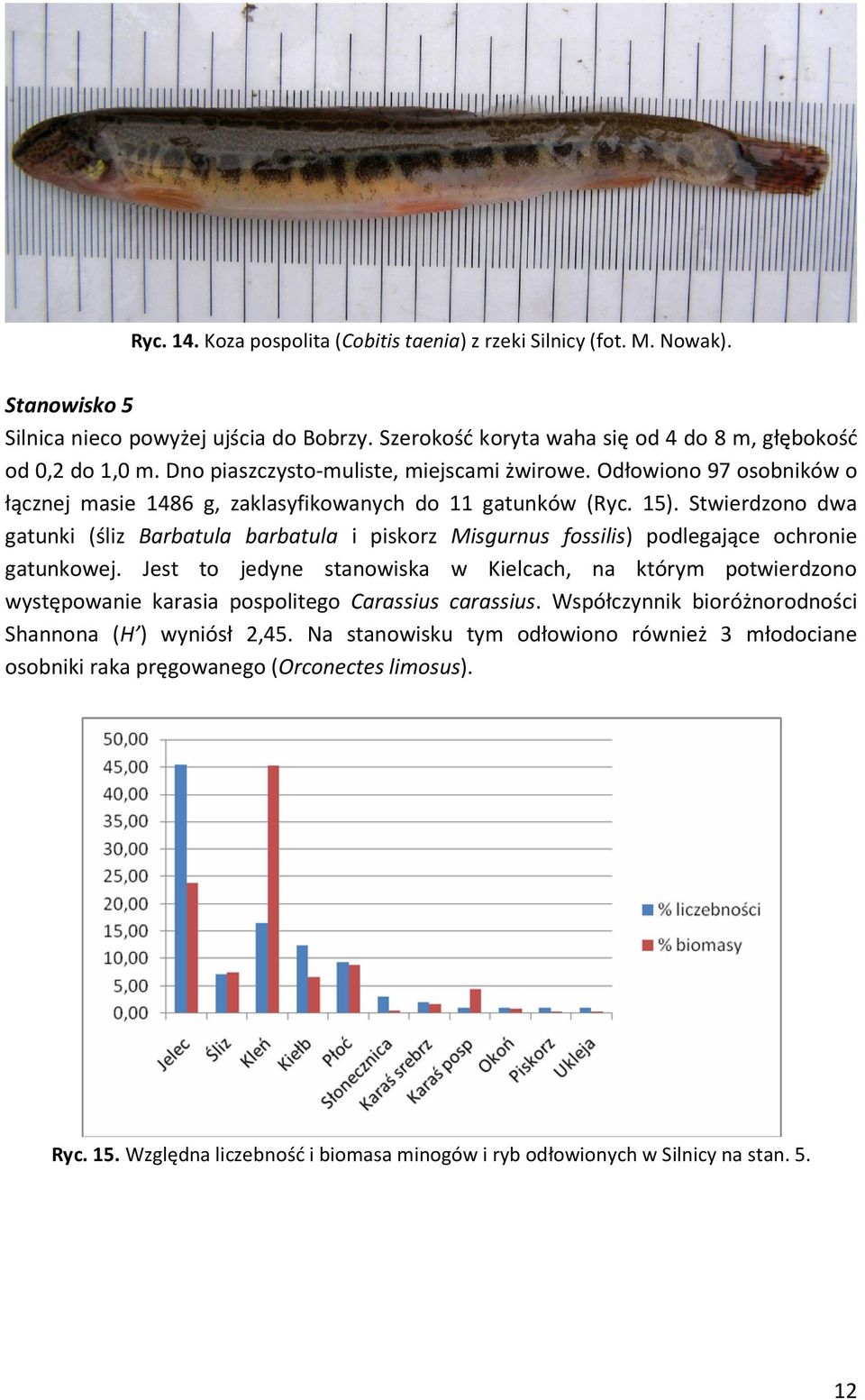 Stwierdzono dwa gatunki (śliz Barbatula barbatula i piskorz Misgurnus fossilis) podlegające ochronie gatunkowej.