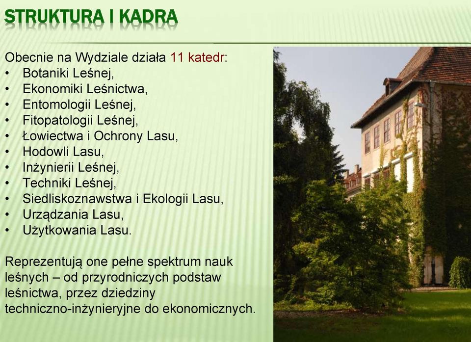 Siedliskoznawstwa i Ekologii Lasu, Urządzania Lasu, Użytkowania Lasu.