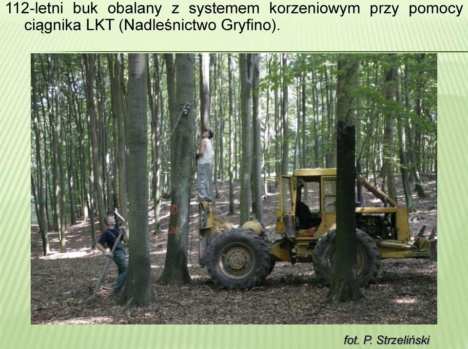 pomocy ciągnika LKT