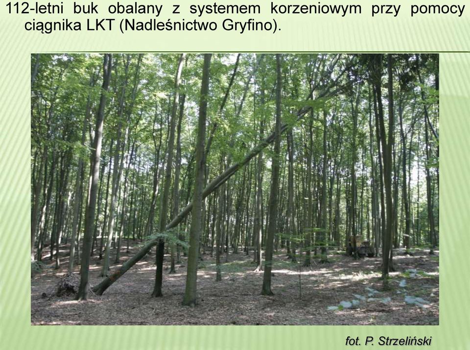 pomocy ciągnika LKT