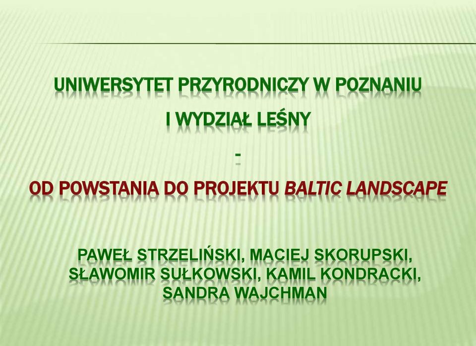 LANDSCAPE PAWEŁ STRZELIŃSKI, MACIEJ SKORUPSKI,