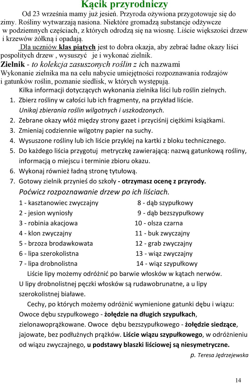 Dla ucniów klas piątych jest to dobra okaja, aby ebrać ładne okay liści pospolitych drew, wysusyć je i wykonać ielnik.
